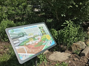 Kiosk located at the WVDEP HQ rain garden informing the public how it works and what native plants are featured.