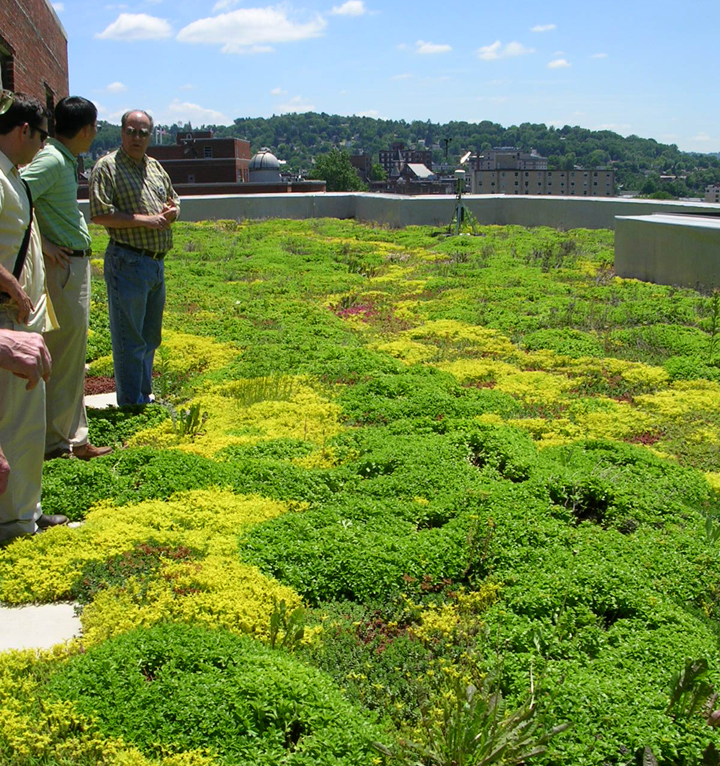 Another green roof section on WVU's Brooks Hall.