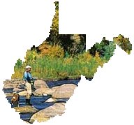 state_stream