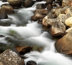 Stream